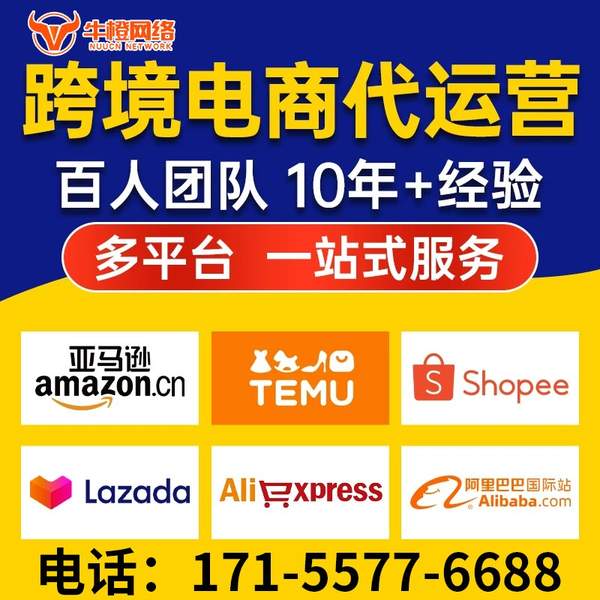 常德电商代运营
