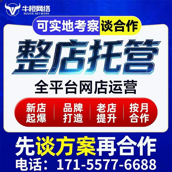 常德电商代运营