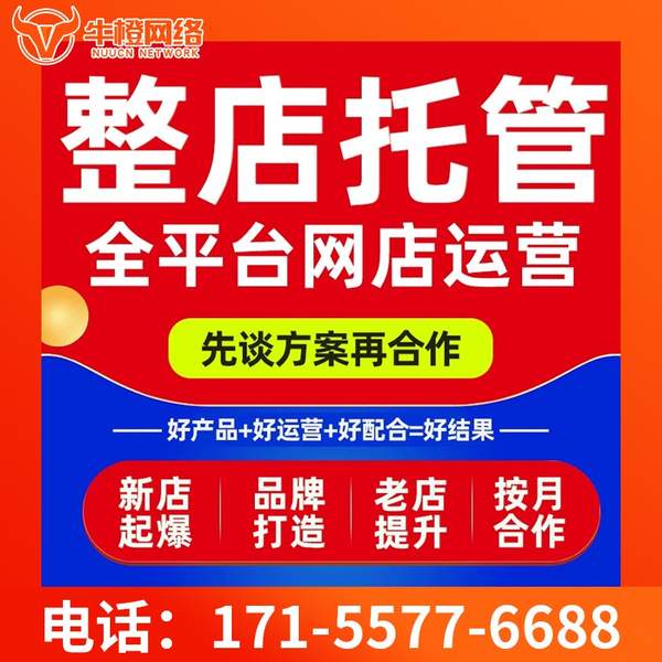 常德电商代运营