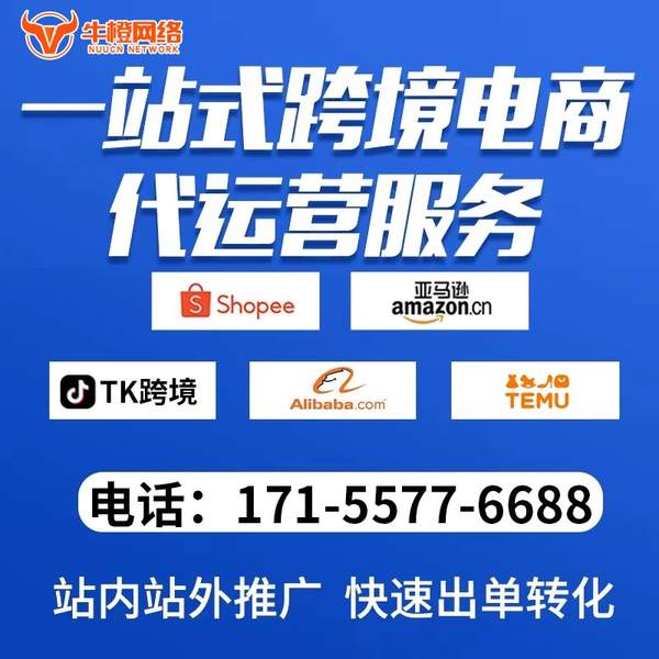 常德电商代运营