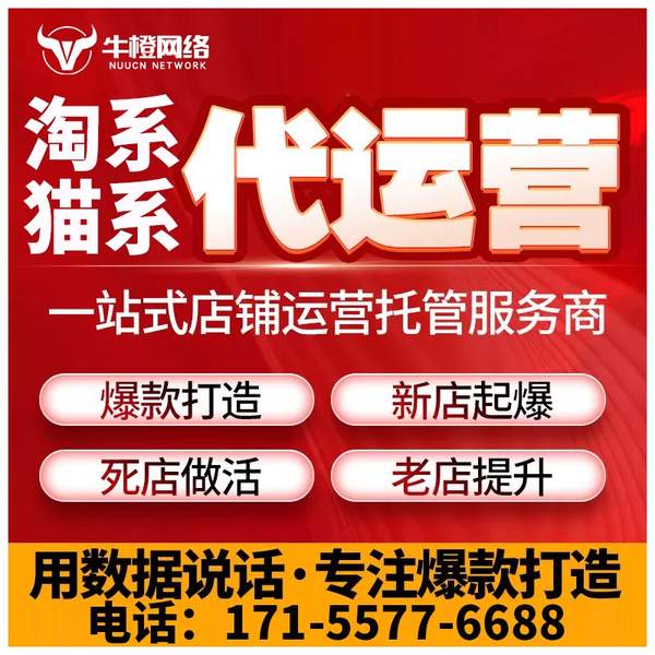 常德电商代运营